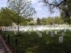 tn_00424161.jpg