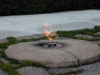tn_00424163.jpg
