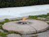 tn_00424164.jpg