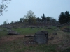 tn_0042426.jpg